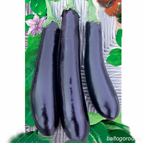 Баклажан Фиолетовый Длинный купить семена описание сорта фото отзывы