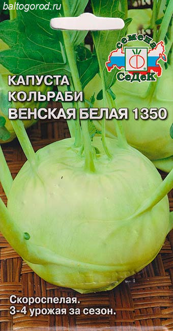 Капуста Кольраби Сорт ВЕНСКАЯ БЕЛАЯ 1350 - ''СеДеК'' 2020 ЦП