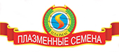 логотип ПЛАЗМАС