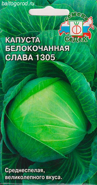 Капуста Белокочанная Сорт СЛАВА 1305 - ''СеДеК'' 2022 ЦП