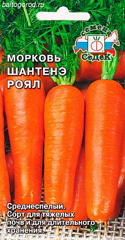 Морковь Сорт ШАНТАНЭ РОЯЛ - ''СеДеК'' 2022 ЦП